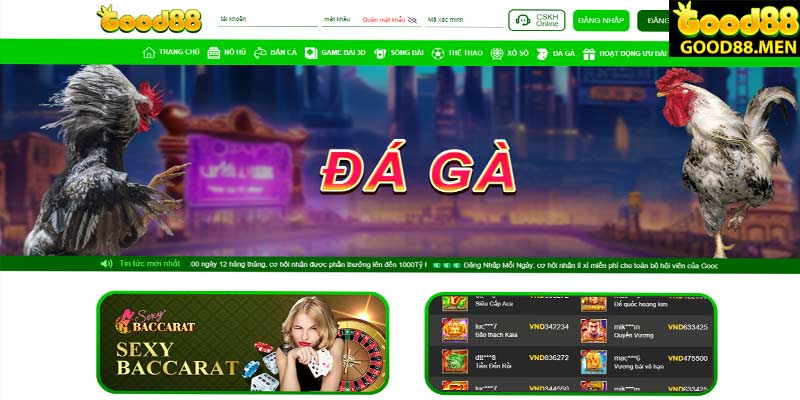 Da-Ga-Good88-La-Gi-Kinh-Nghiem-Da-Ga-Truc-Tiep-Thang-Lon
