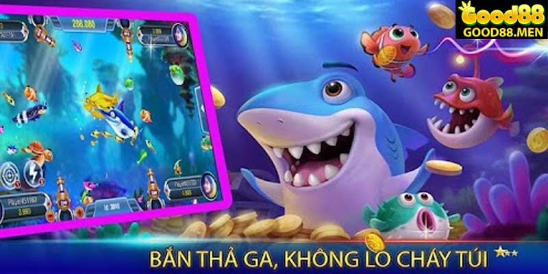 Kinh-nghiem-choi-ca-vang-cho-tan-thu